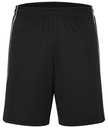 Daiber Basic Team Shorts JN387